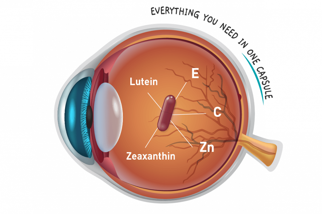 Complex for healthy vision and eye, AREDS-2 formula, efficacy, antioxidants, Lutein, Zeaxanthin, Zinc, AMD, protects retina from blue light